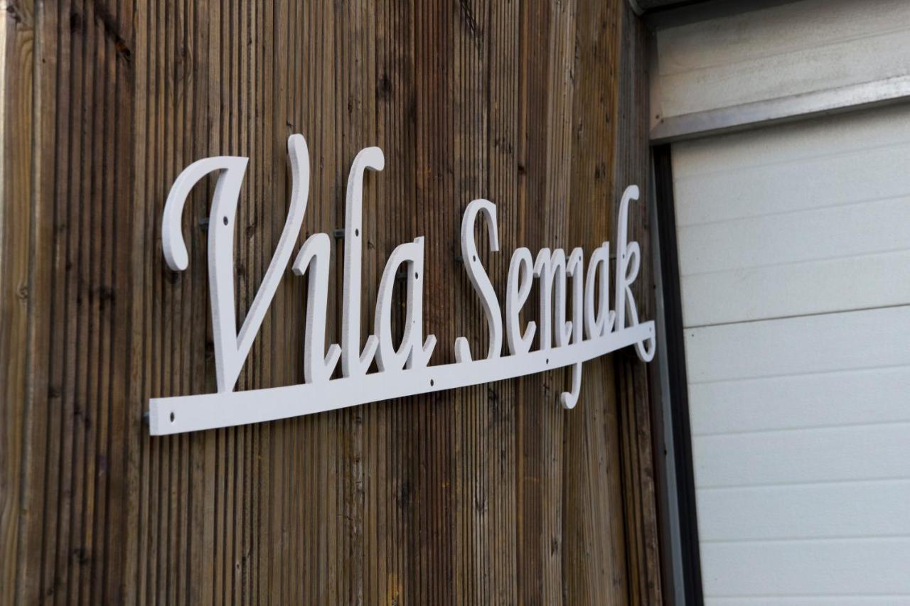 Vila Senjak ベオグラード エクステリア 写真